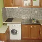 Vicente Appartement Goudstrand